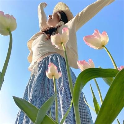 嗜血狂蜂